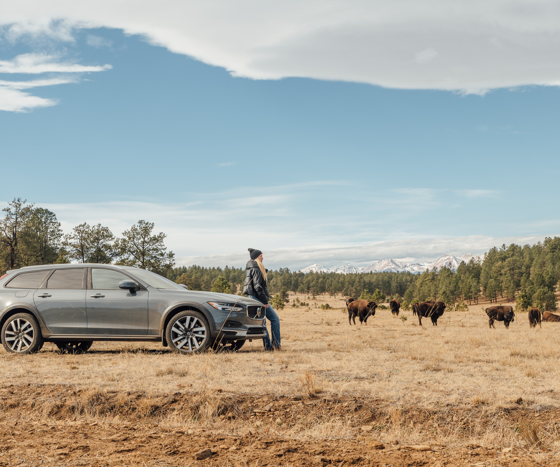 2021 Volvo C90 Cross Country bison