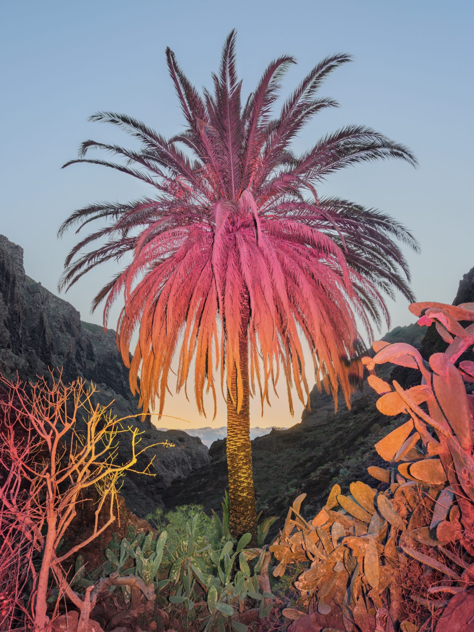Inka and Niclas Create Surreal Scenes in Nature